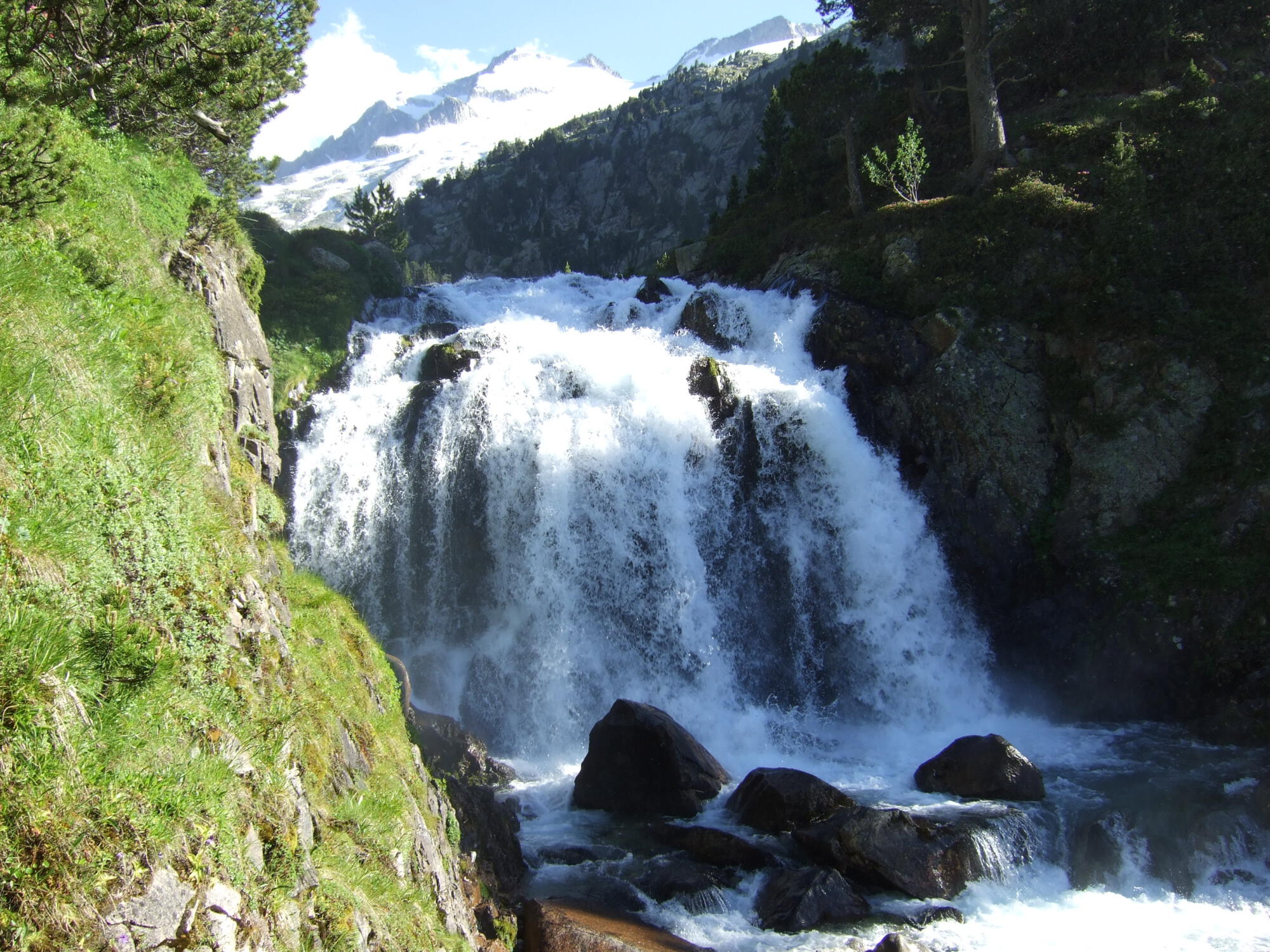 Wasser